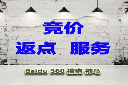 高效SEM托管服务：成功案例深度解析