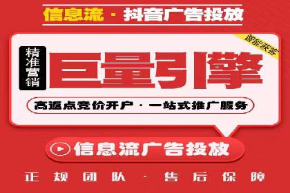 XX行业竞价广告的投放策略与效果分析